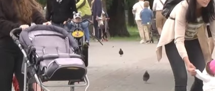 Как в Бресте получить материальную помощь на подготовку детей к школе многодетным семьям