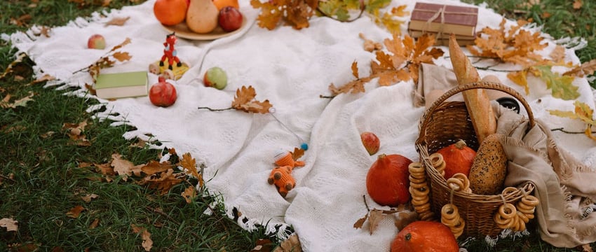 В поисках лучшей жизни: названы 10 лучших городов Европы для переезда в 2024 году