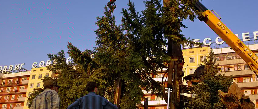 В Витебске разработают схему озелененных  территорий общего пользования