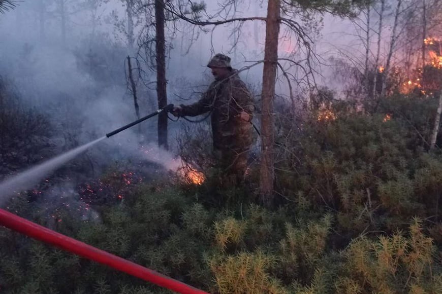 Работники лесной охраны рассказали, как справлялись с бушующим огнем в Полесском лесхозе