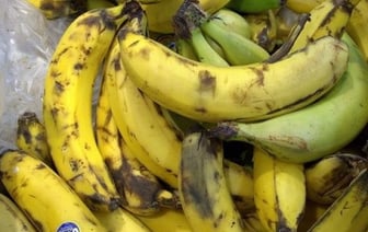 Польза зеленых бананов: мнение специалиста