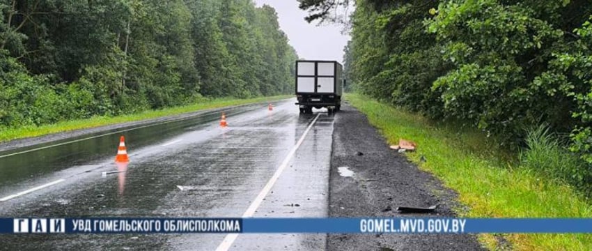 Мужчина вышел из авто на обочину, а когда возвращался, его сбил грузовик