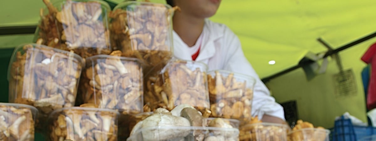 Новый закон для белорусских ИП: что можно и что нельзя