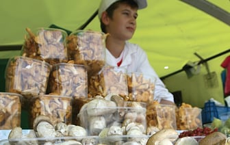 Новый закон для белорусских ИП: что можно и что нельзя