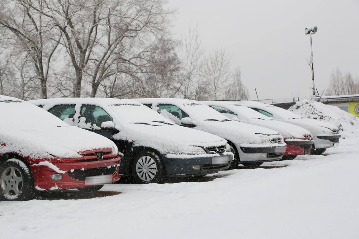 Год после отмены счетов-справок. Что сейчас происходит на авторынке?