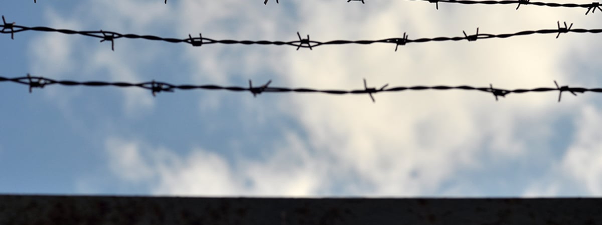 «С каждым километром продвижения ВСУ в Курской области растет уровень гуманизма беларусских властей»