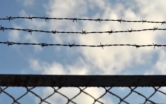 «С каждым километром продвижения ВСУ в Курской области растет уровень гуманизма беларусских властей»