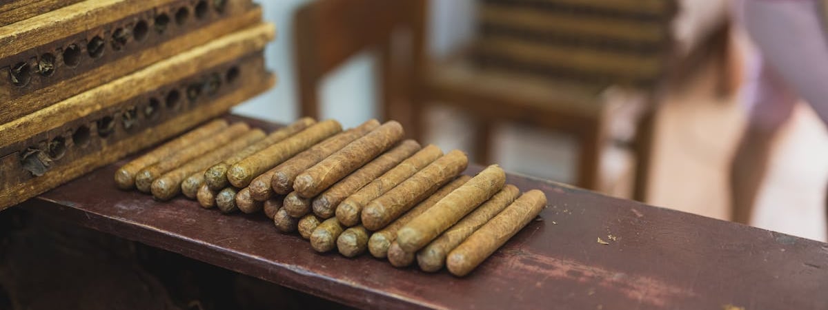 Лукашенко настораживают тенденции в табачной отрасли Беларуси