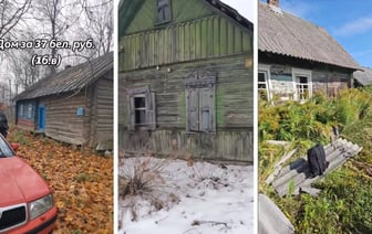 «Планируем выкупить всю деревню» — Белорусы показали, какие дома приобрели за «одну базовую» — Видео