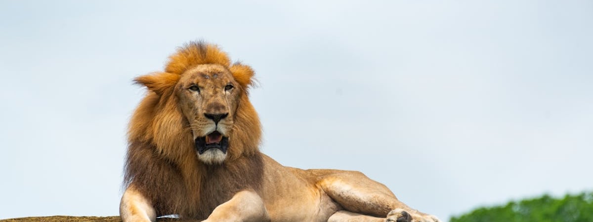 Лидер немецких консерваторов исключает дальнейшее сотрудничество с ультраправыми