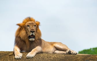 Лидер немецких консерваторов исключает дальнейшее сотрудничество с ультраправыми