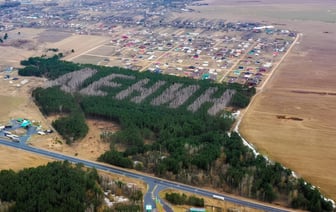 Минлесхоз Беларуси решил высадить надпись из деревьев, которую будет видно из космоса. Какую и где? — Фото