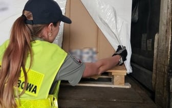 Контрабандные белорусские сигареты на $3,4 млн задержали в Польше