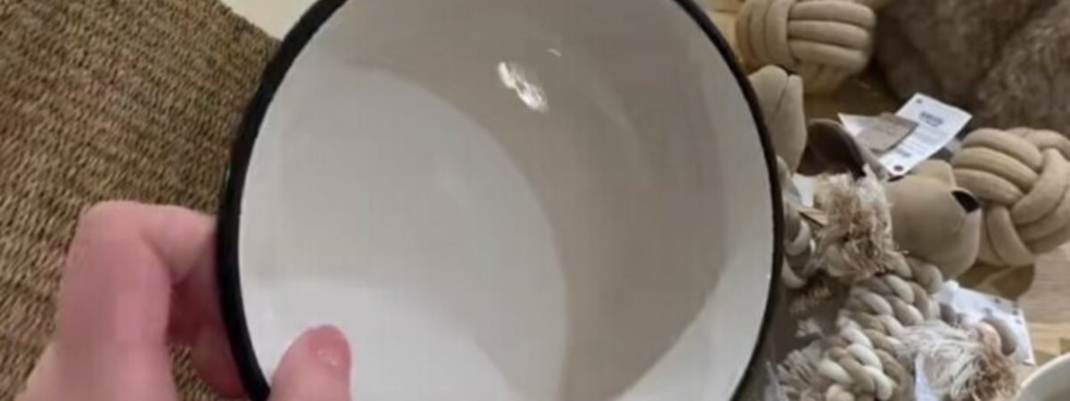 «У меня из такой собака кушает» — Белорусы возмутились миске за 70 рублей. В каких магазинах? — Видео