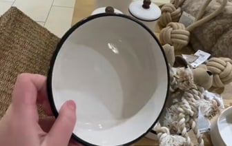 «У меня из такой собака кушает» — Белорусы возмутились миске за 70 рублей. В каких магазинах? — Видео