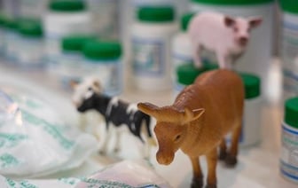 Онлайн-продажу пиротехники, ветпрепаратов и БАДов разрешили в Беларуси