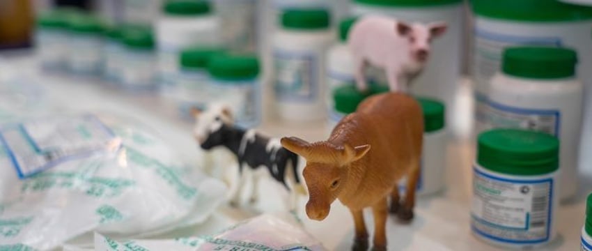 Онлайн-продажу пиротехники, ветпрепаратов и БАДов разрешили в Беларуси