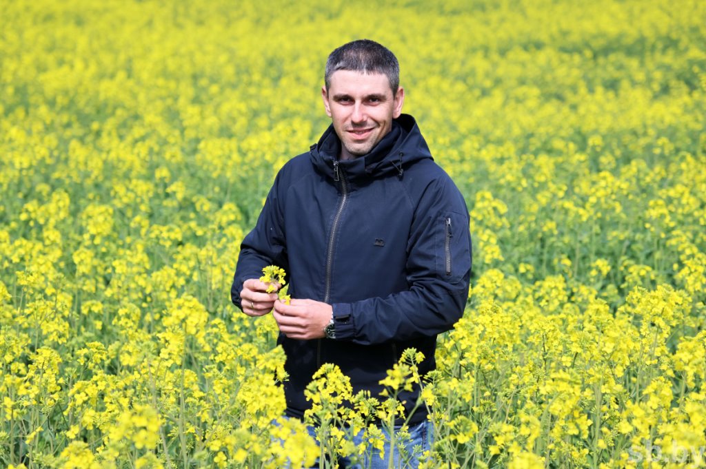 В Брестской области цветет рапс. Рекордно рано