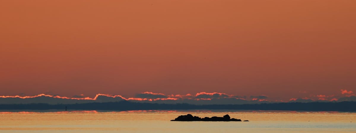 С начала года в Беларусь по безвизу въехало более 4,8 тысячи иностранцев