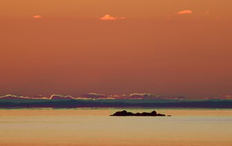 С начала года в Беларусь по безвизу въехало более 4,8 тысячи иностранцев