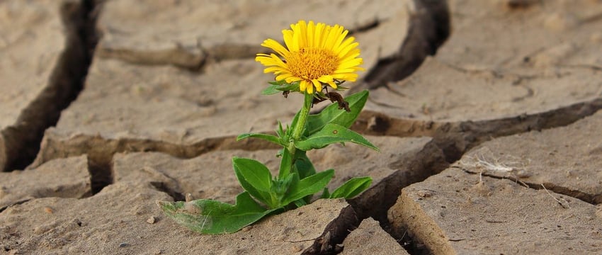 Жарче всего на Витебщине в Поставском районе