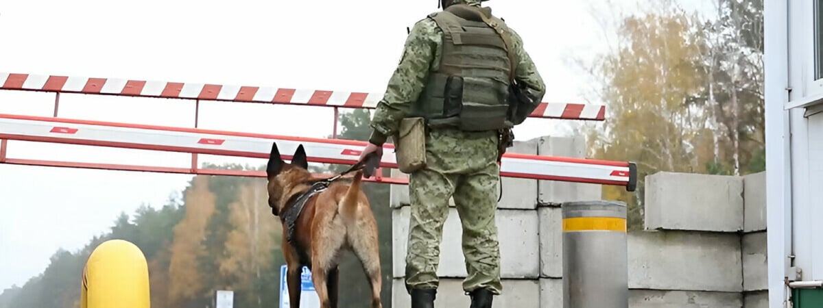 Погранкомитет пообещал подарить белорусам экшн-камеру и стабилизатор. Что попросил сделать взамен?