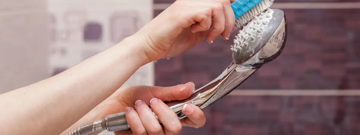 Как отмыть накипь с душевой лейки? Эти домашние растворы из 2 продуктов вернут напор воды — Полезно