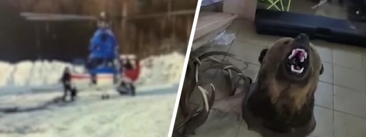 Охотились на медведя с вертолёта. На Витебщине задержали группу браконьеров