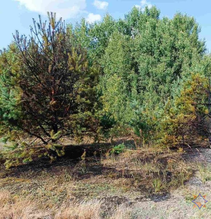 В Брестском районе при пожаре погиб пенсионер