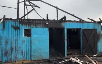 Конюшня загорелась в минском зоопарке