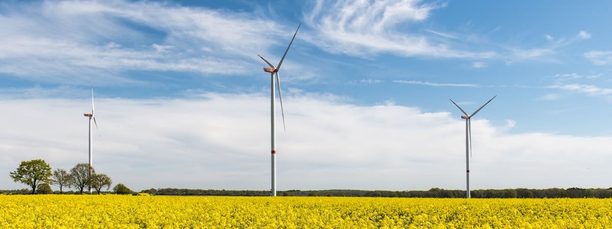 Цены на нефть выросли на фоне сокращения запасов в США