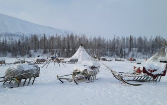 В Могилевской области за почти три месяца от гололеда и холода пострадали более 1,6 тысячи человек