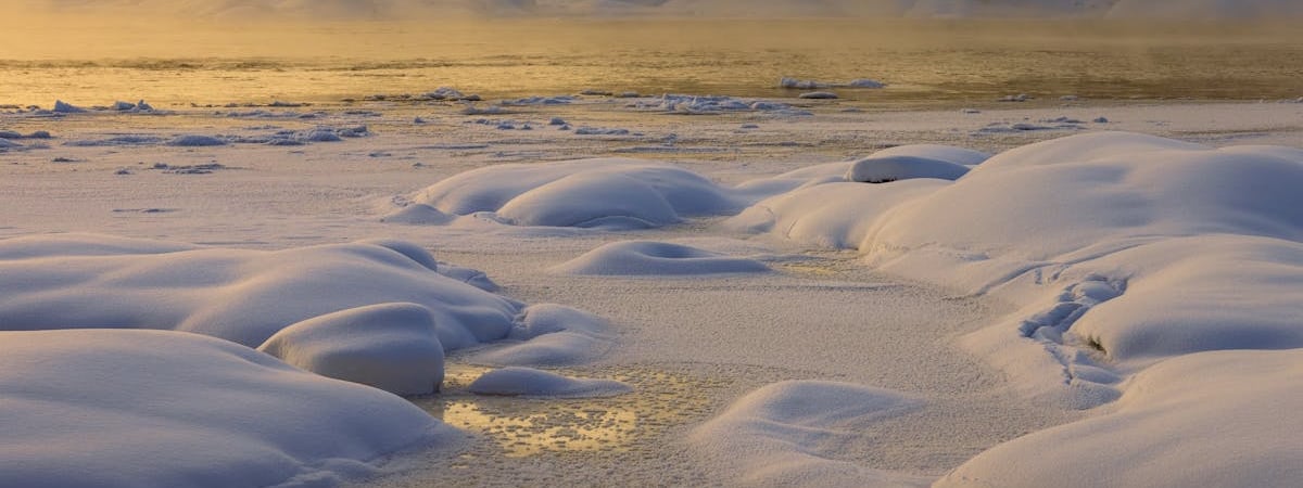 Отказ премьера Грузии от визита в США из-за закона об 'иноагентах'