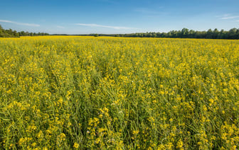 Эстония полностью откажется от использования сланца в энергетике к 2040 году