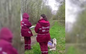 Обнаружение трупа беженки на границе: ГПК Беларуси заявил о случившемся