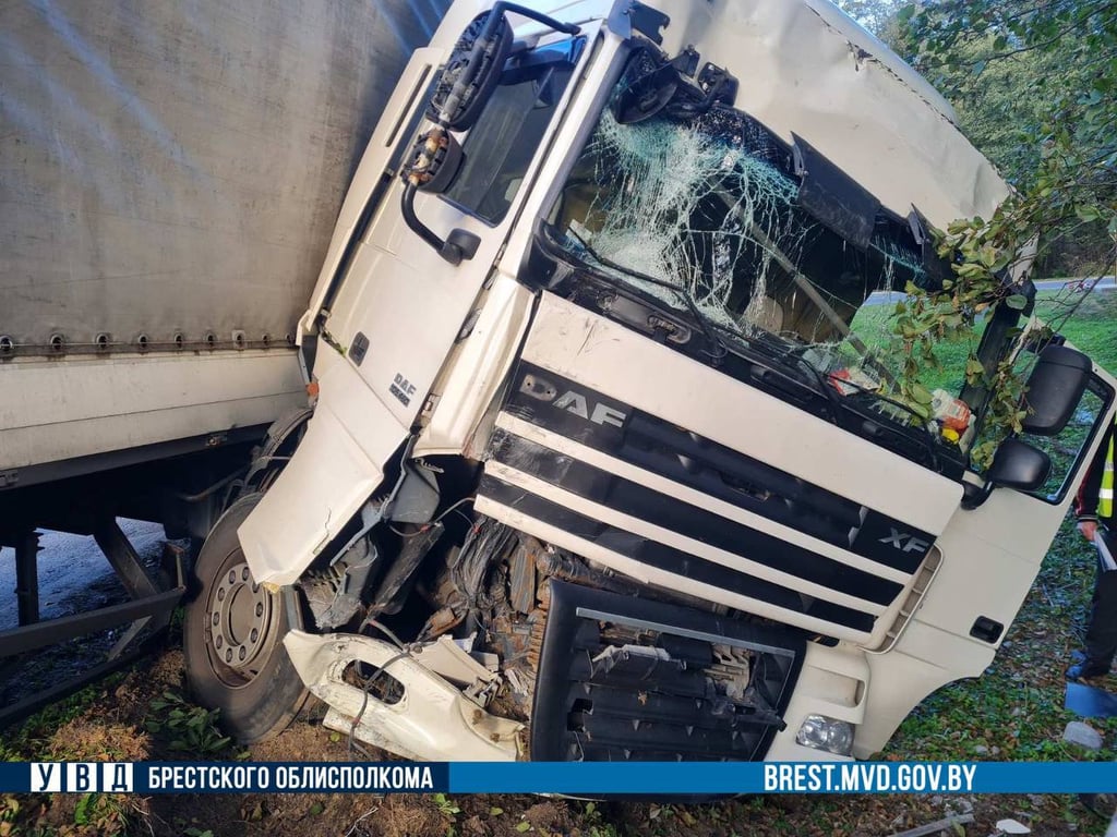 Видео и подробности ДТП под Брестом, где фурой был снесен столб