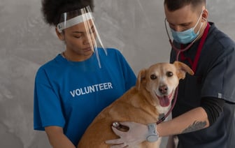 Магазины «Светофор» массово закрываются в России. Чего ждать в Беларуси?