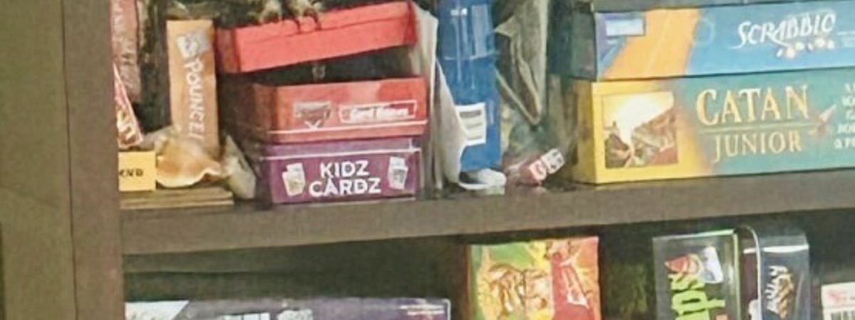 «Может, ей было одиноко?» — Кричащая сова вторглась в дом и спряталась на полке с играми — Фото