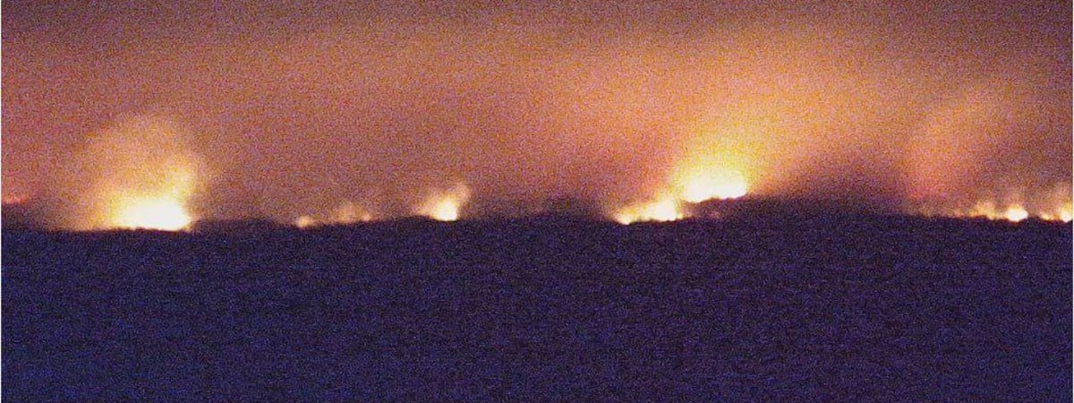 На границе Беларуси с Украиной вспыхнул лесной пожар