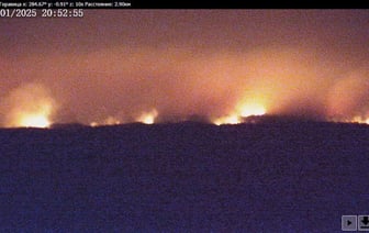 На границе Беларуси с Украиной вспыхнул лесной пожар