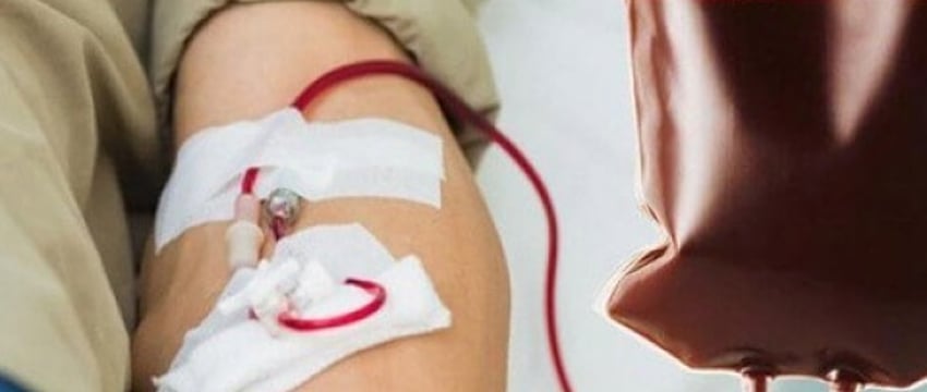 На Брестчине в прошлом году сдали кровь 11,6 тысячи доноров. Кто может быть донором и как проходит сдача крови?