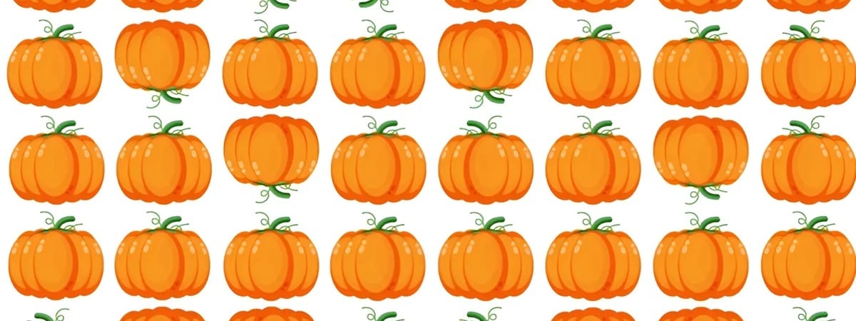 Этот осенний тест проходят только те, кто не боится вызовов. Найдите уникальную тыкву за 10 секунд — Фото