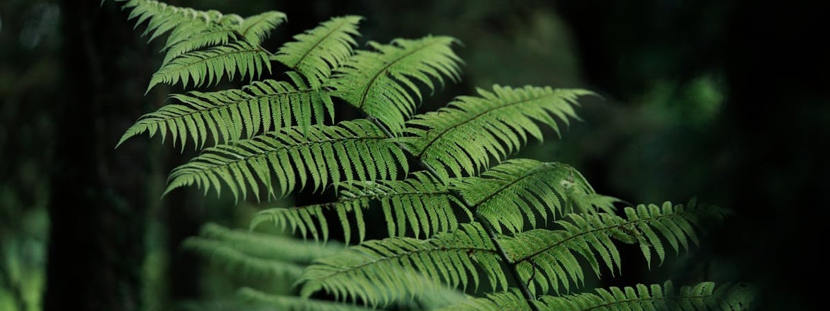 Зоны платной парковки в Минске обозначат разметкой синего цвета