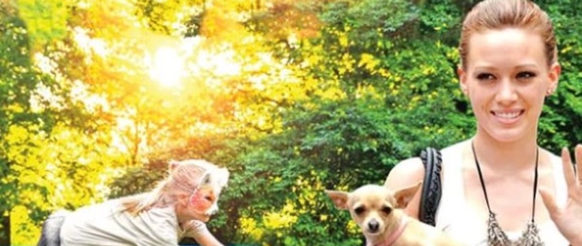 Дети лают и приделывают хвостики. Квадробинг — новый тренд, или звоночек для родителей