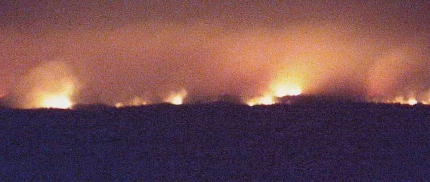 Заказник пылает в Брестской области – первый природный пожар в 2025 году