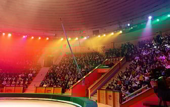 Кто приедет в Гомель на фестиваль циркового искусства