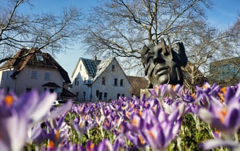 В Полоцке появилась топиарная фигура (фотофакт)