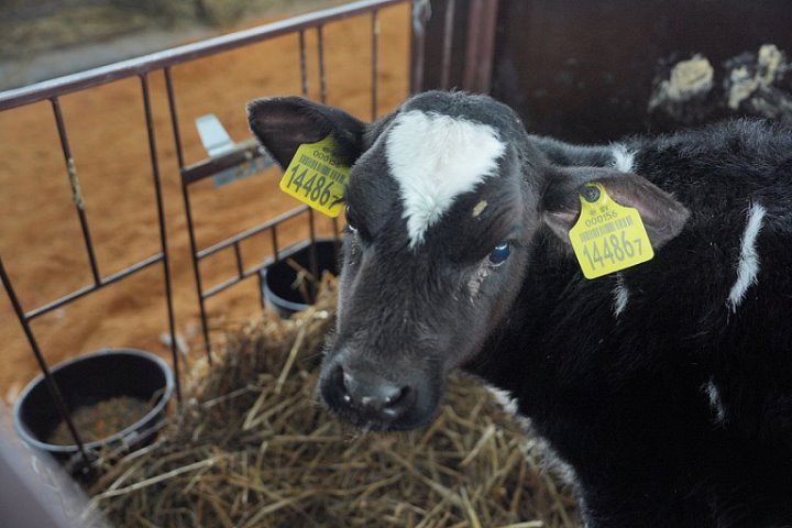 Фото из открытых источников (иллюстративное)