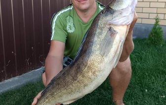 «Подсечка – и началась борьба»: рыбак поймал самого большого в стране судака