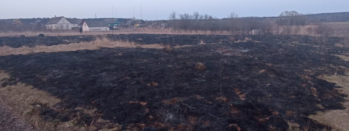 В Новогрудском районе из-за пала травы погиб мужчина